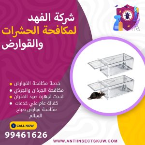 شركة مكافحة قوارض صباح السالم