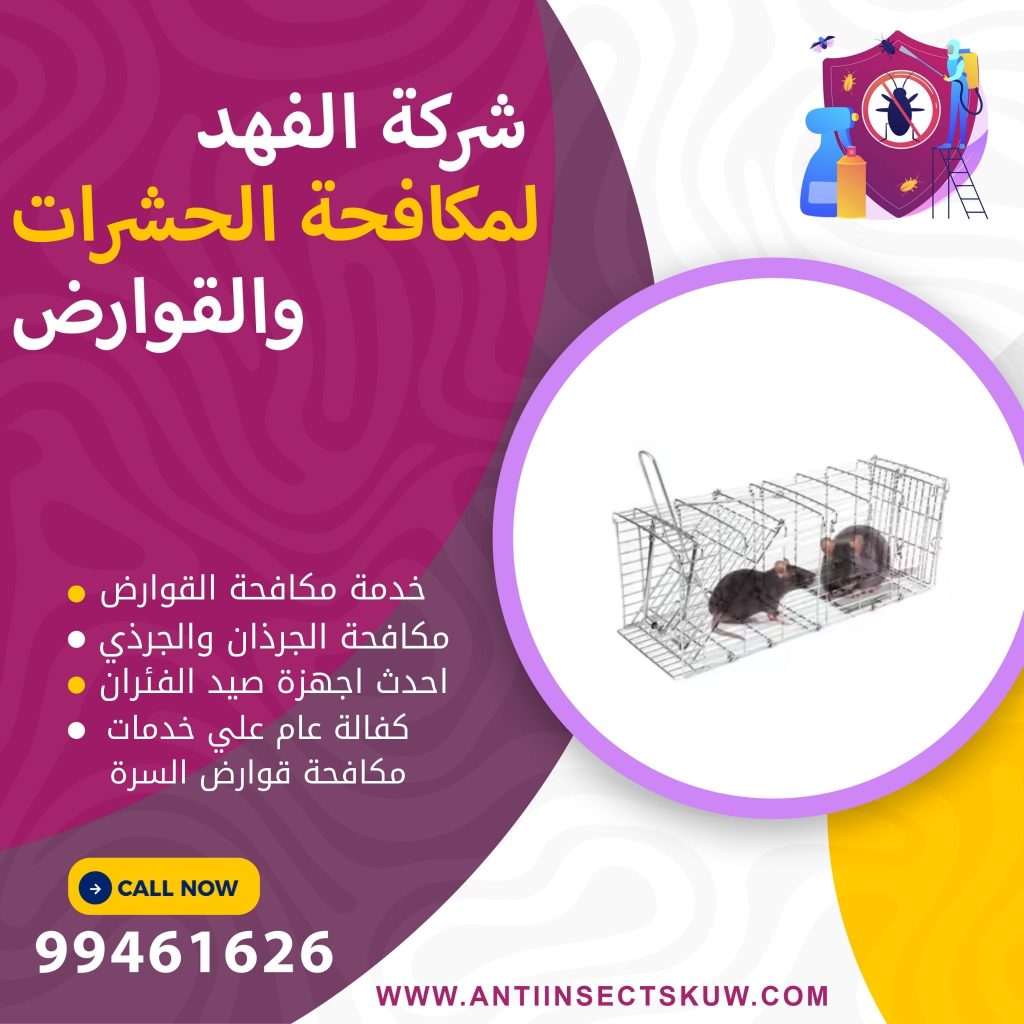 شركة مكافحة قوارض السرة