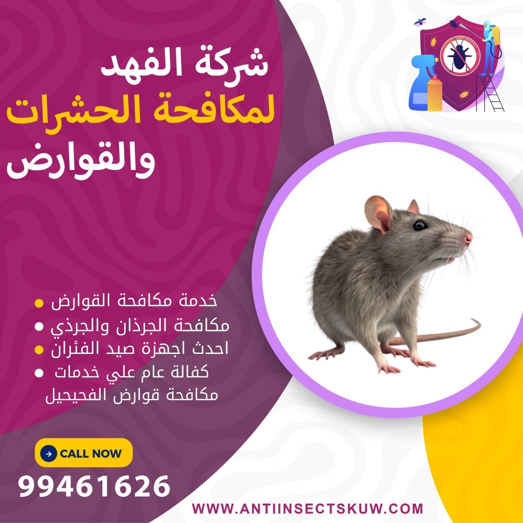 شركة مكافحة قوارض الفحيحيل