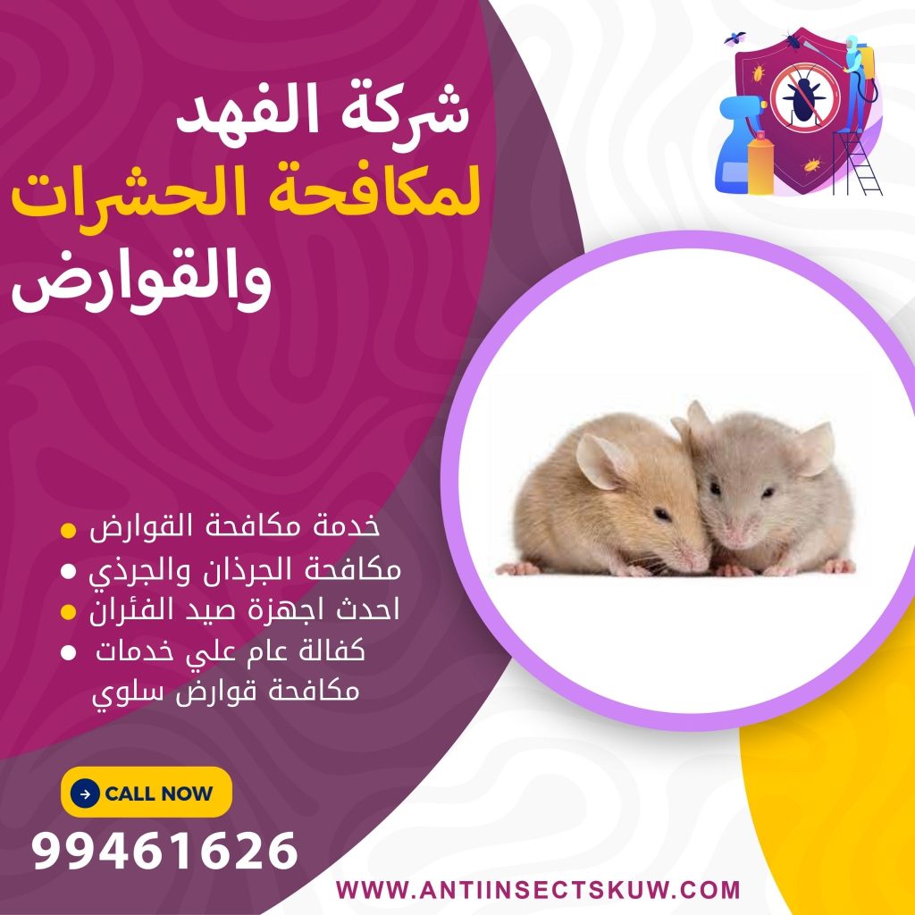 شركة مكافحة قوارض سلوي