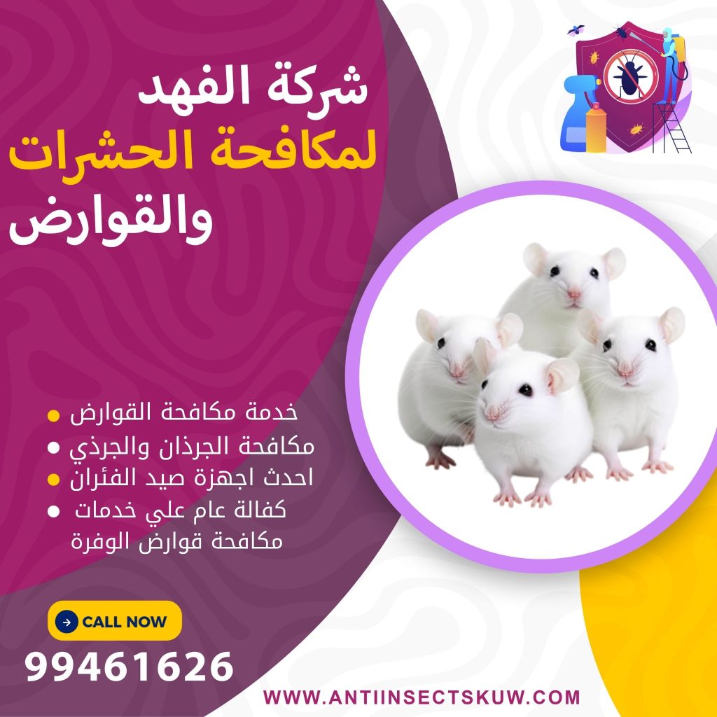شركة مكافحة قوارض الوفرة