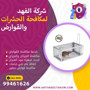شركة مكافحة قوارض حطين