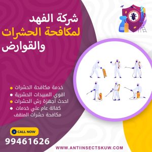 شركة مكافحة حشرات المنقف