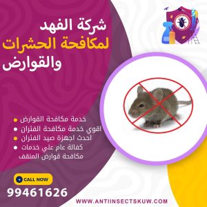 شركة مكافحة قوارض المنقف