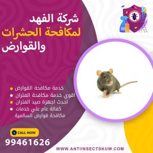 شركة مكافحة قوارض السالمية