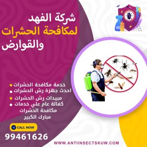 شركة مكافحة حشرات مبارك الكبير
