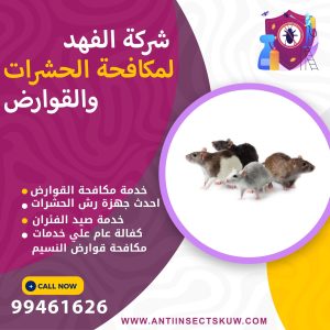 شركة مكافحة قوارض النسيم