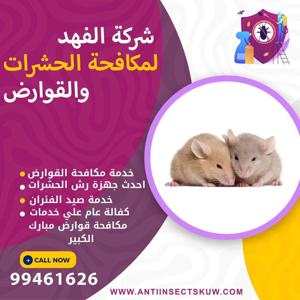 شركة مكافحة قوارض مبارك الكبير