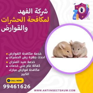 شركة مكافحة قوارض مبارك الكبير