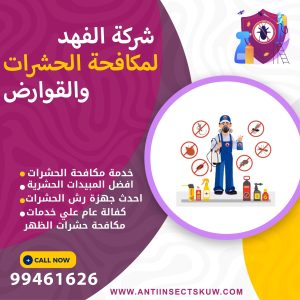 شركة مكافحة حشرات الظهر