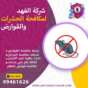 شركة مكافحة قوارض الظهر