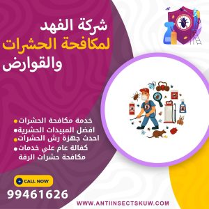 شركة مكافحة حشرات الرقة