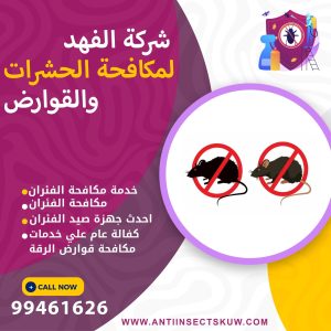 شركة مكافحة قوارض الرقة