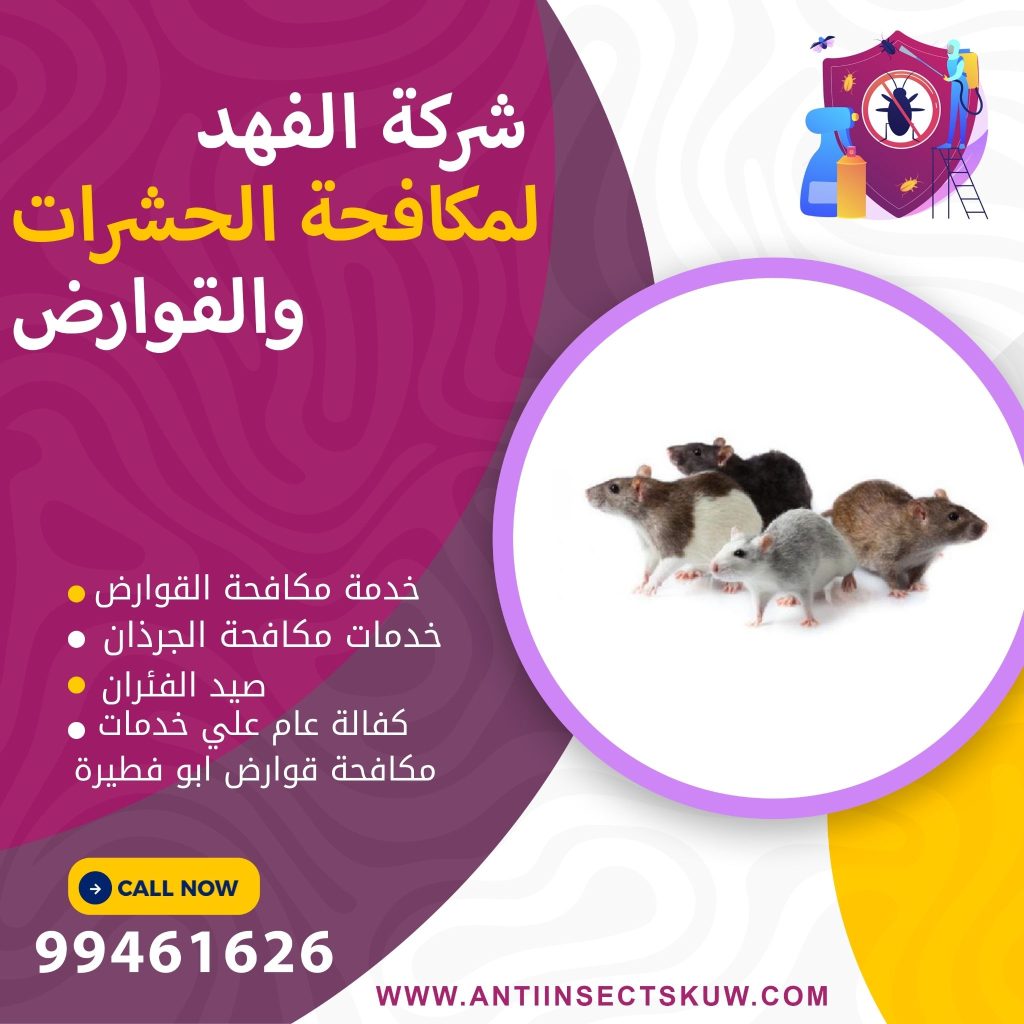 شركة مكافحة قوارض ابو فطيرة