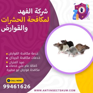 شركة مكافحة قوارض ابو فطيرة