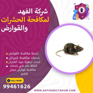شركة مكافحة قوارض صباح الناصر