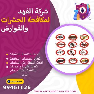 شركة مكافحة حشرات صباح الناصر