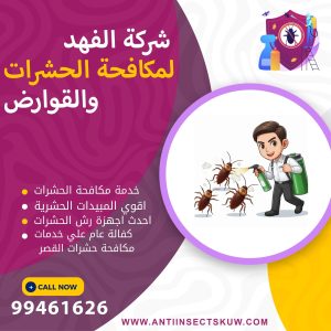 شركة مكافحة حشرات القصر