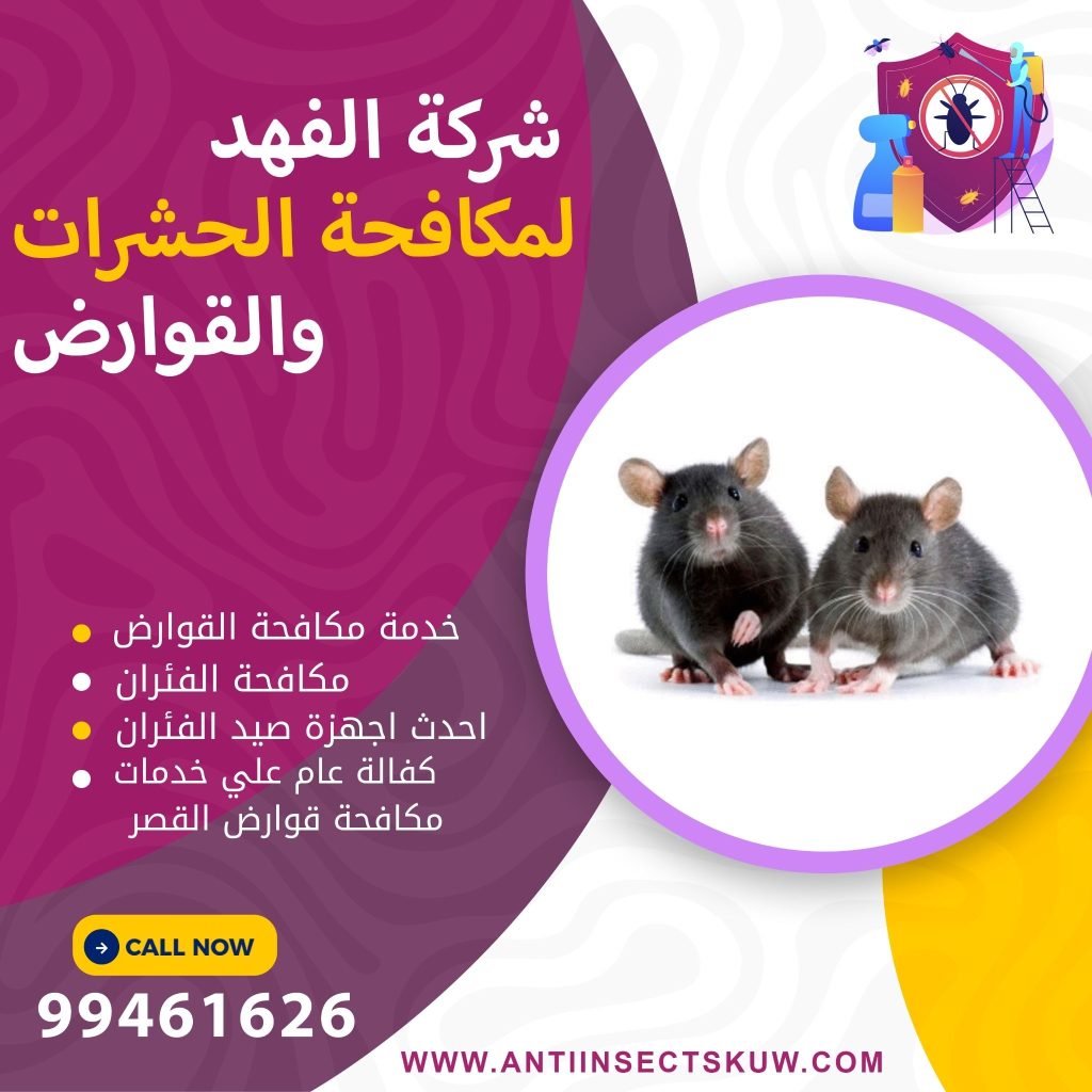 شركة مكافحة قوارض القصر