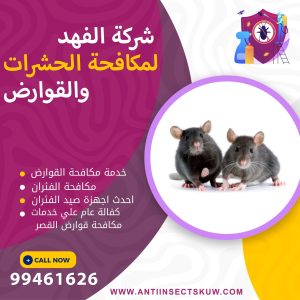 شركة مكافحة قوارض القصر