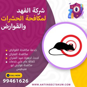 شركة مكافحة قوارض ابو فنيطيس