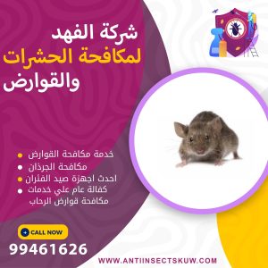شركة مكافحة قوارض الرحاب