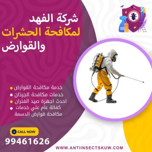 شركة مكافحة قوارض الدسمة