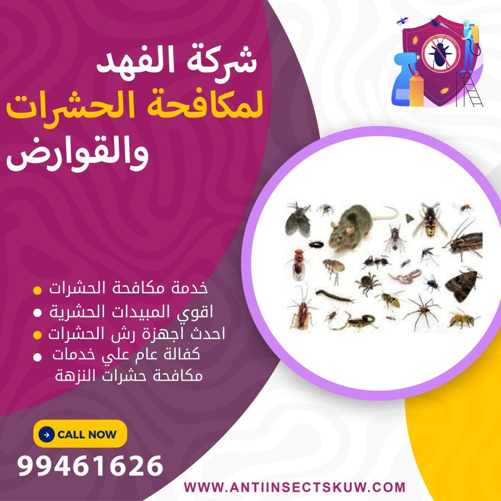 شركة مكافحة حشرات النزهة