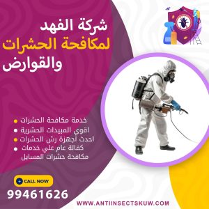 شركة مكافحة حشرات المسايل