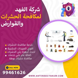 شركة مكافحة حشرات عوهة