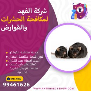 شركة مكافحة قوارض الشويخ الصناعية