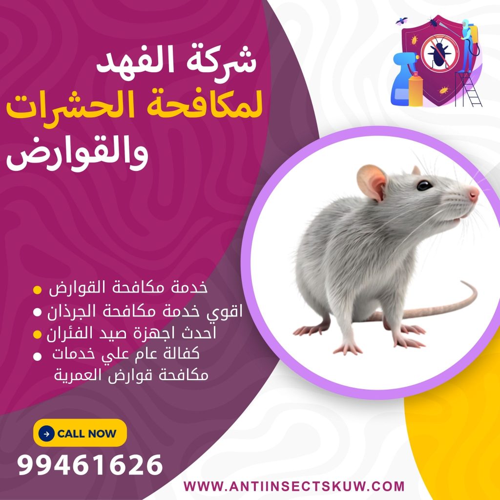 شركة مكافحة قوارض العمرية