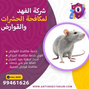 شركة مكافحة قوارض العمرية