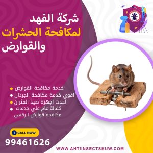 شركة مكافحة قوارض الرقعي