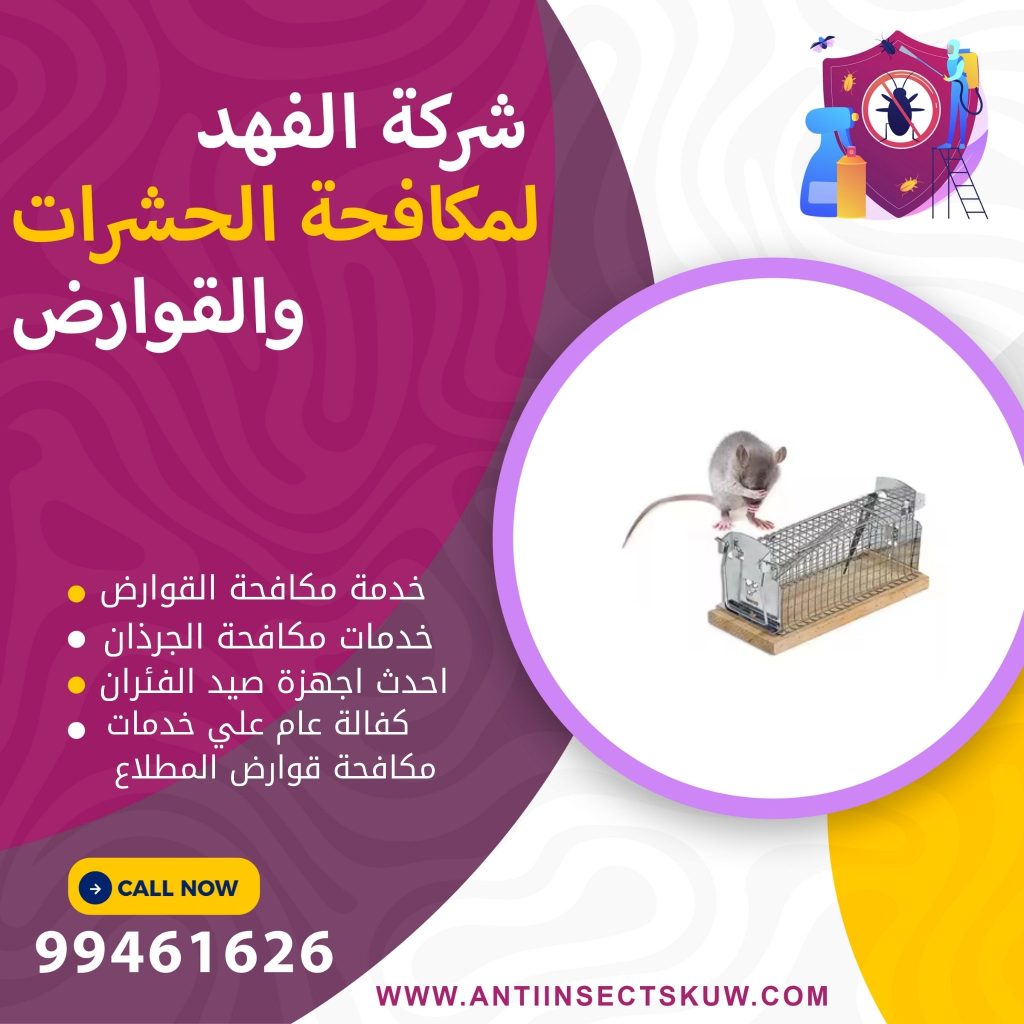 شركة مكافحة قوارض المطلاع