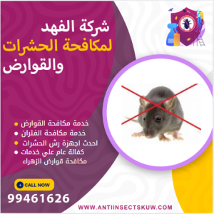 شركة مكافحة قوارض الزهراء