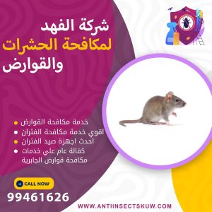 شركة مكافحة قوارض الجابرية