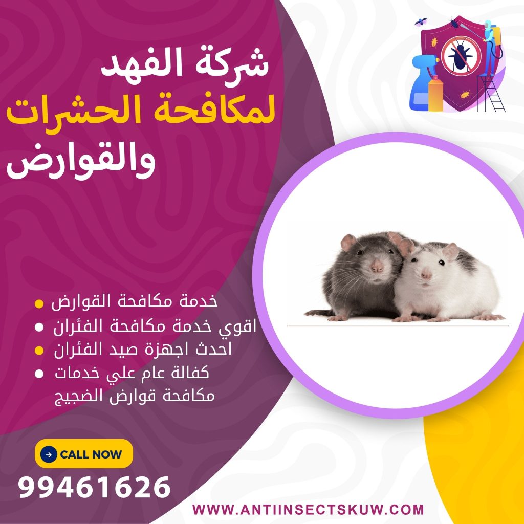 شركة مكافحة قوارض الضجيج