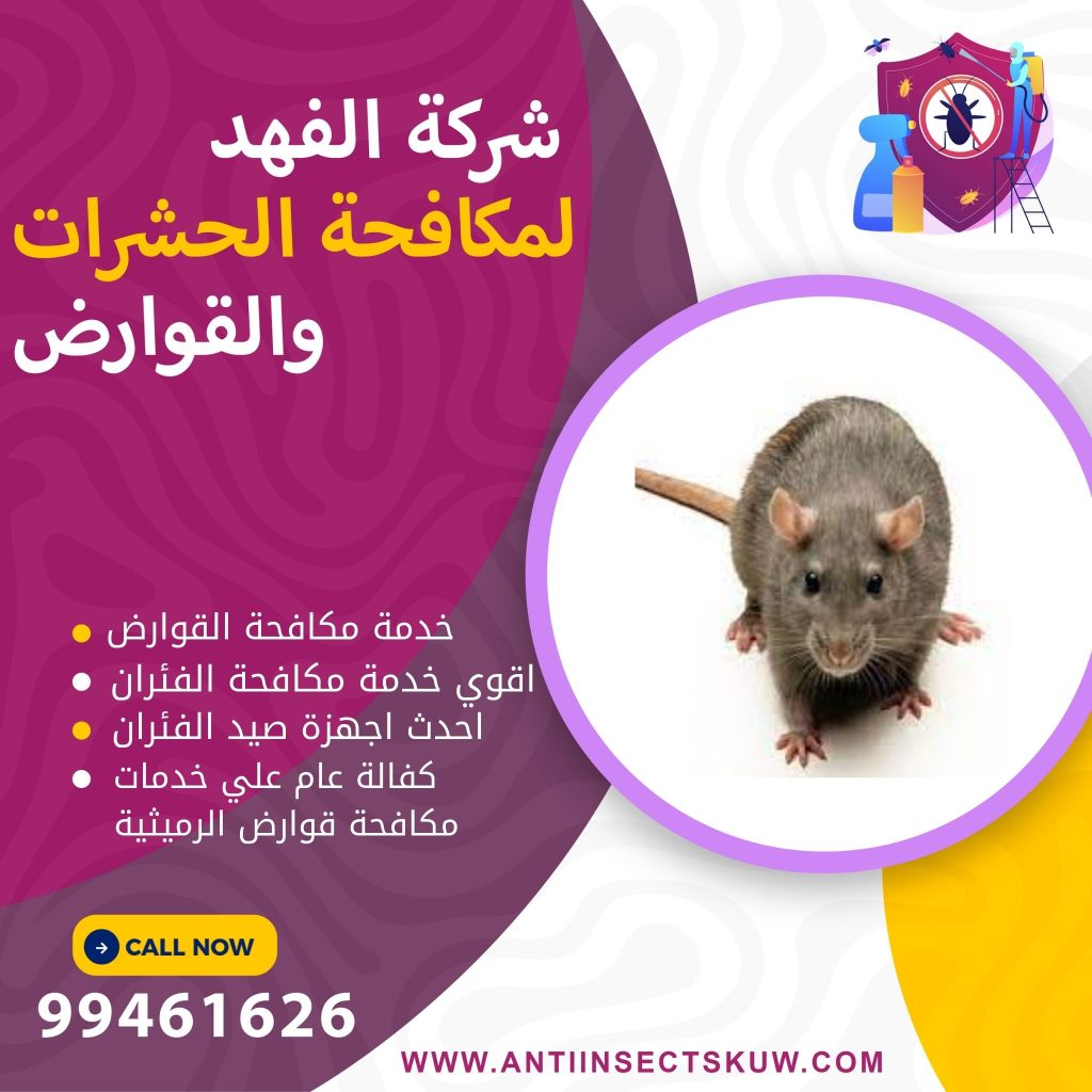 شركة مكافحة قوارض الرميثية