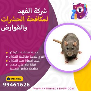شركة مكافحة قوارض الرميثية
