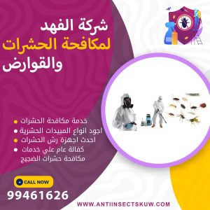 شركة مكافحة حشرات الضجيج