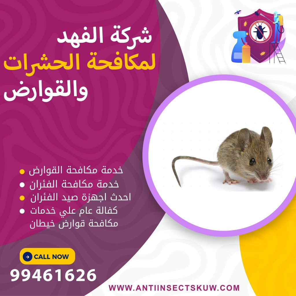 شركة مكافحة قوارض خيطان