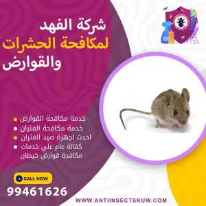 شركة مكافحة قوارض خيطان