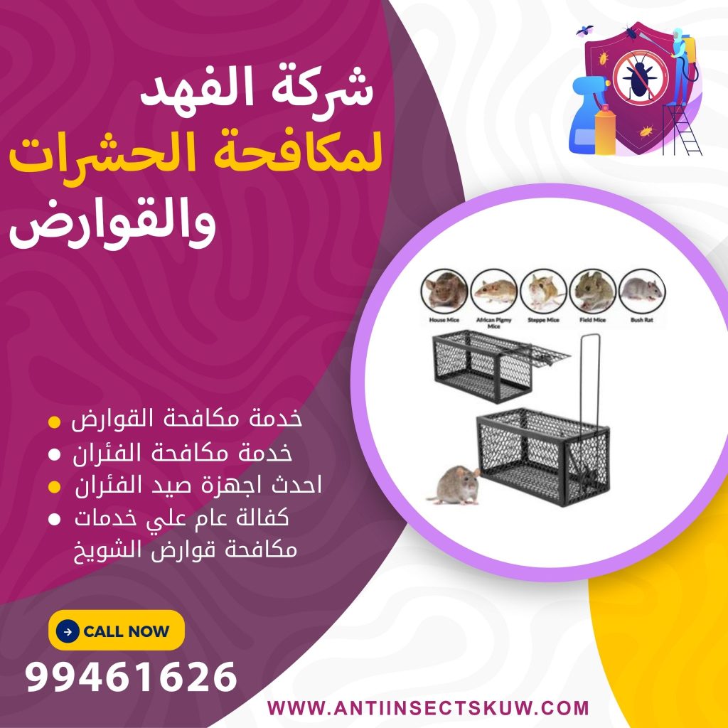 شركة مكافحة قوارض الشويخ