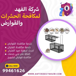 شركة مكافحة قوارض الشويخ