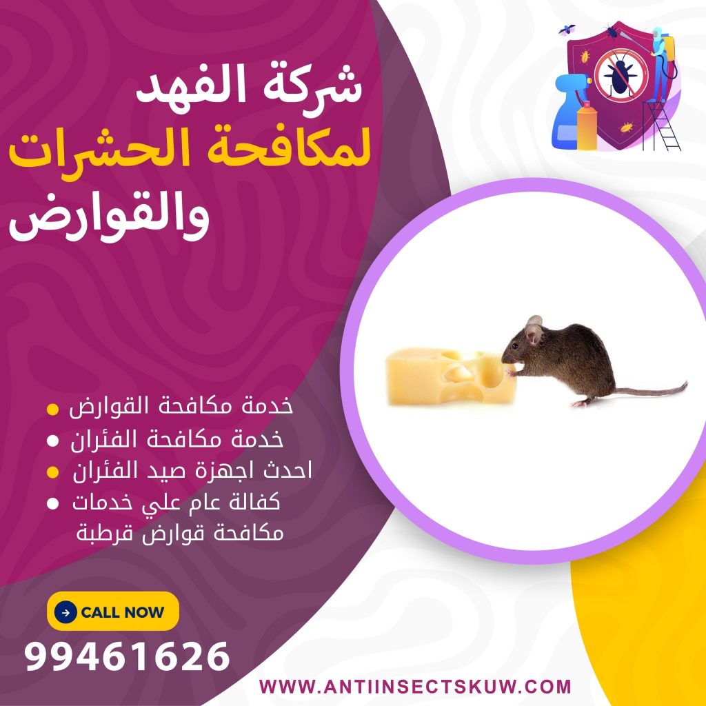 شركة مكافحة قوارض قرطبة
