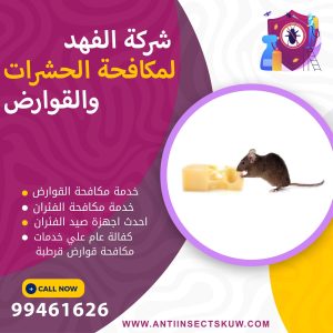 شركة مكافحة قوارض قرطبة