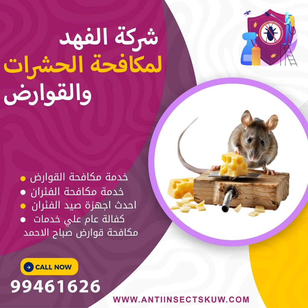 شركة مكافحة قوارض صباح الاحمد