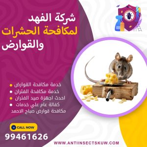 شركة مكافحة قوارض صباح الاحمد