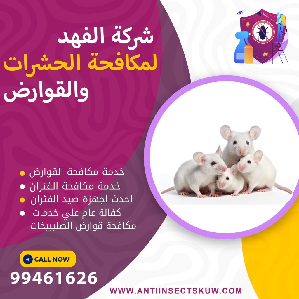 شركة مكافحة قوارض الصليبيخات
